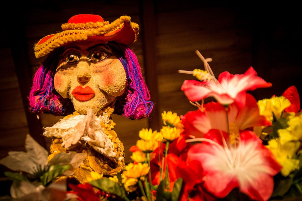 El jardín de Doña Paqueta. El jardín de Doña Paqueta.