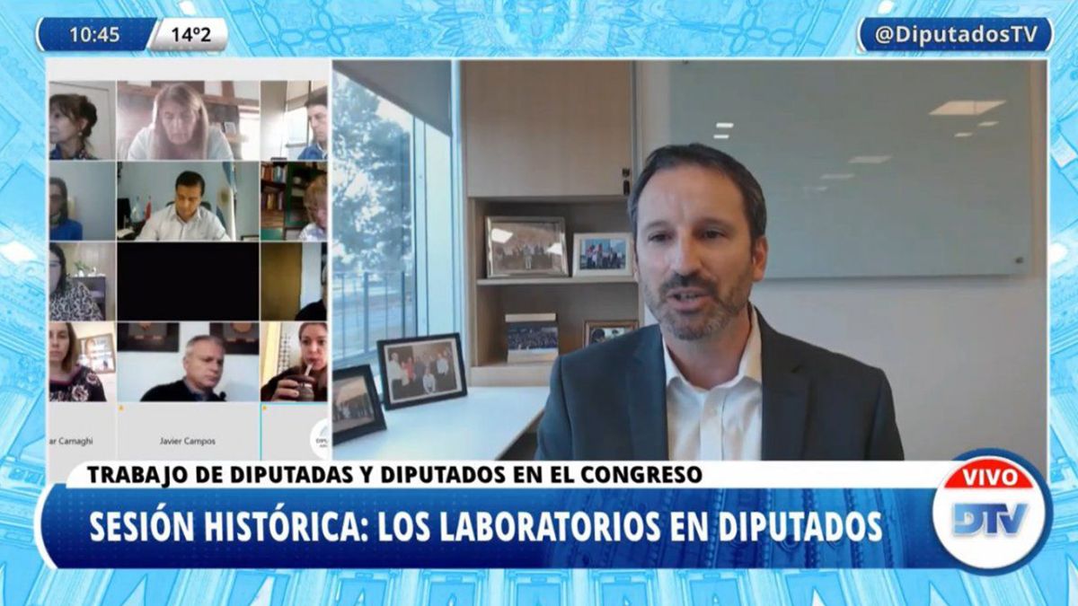 La Cámara de Diputados desarrolló un encuentro en el que expusieron representantes de los laboratorios Pfizer y Richmond