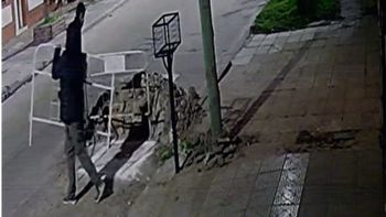 Video: así dos ladrones se robaron los corralitos de Assa en barrio Barranquitas
