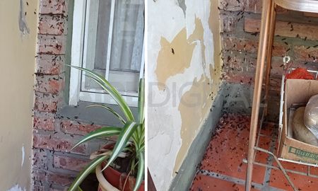 La aparición de hormigas voladoras en esta época del año es normal. La aparición de hormigas voladoras en esta época del año es normal.