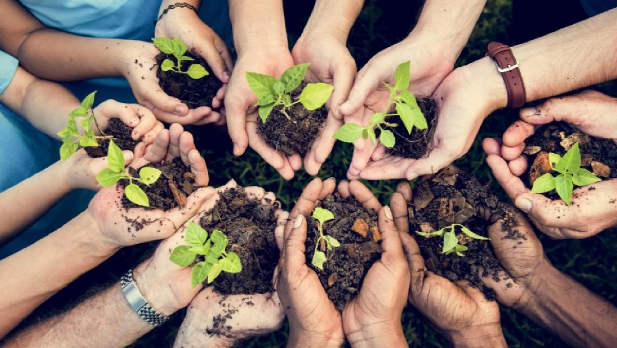 Día Mundial de la Alimentación: por qué se celebra hoy