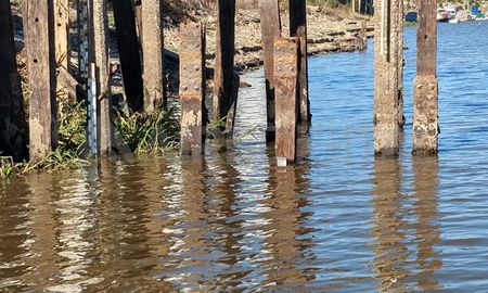 El río Paraná en Santa Fe midió este jeuves al mediodía -0,03 metros. El río Paraná en Santa Fe midió este jeuves al mediodía -0,03 metros.