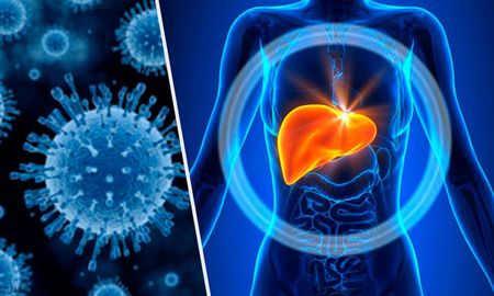 Hepatitis: el gobierno aprobó el tratamiento para todos los pacientes infectados