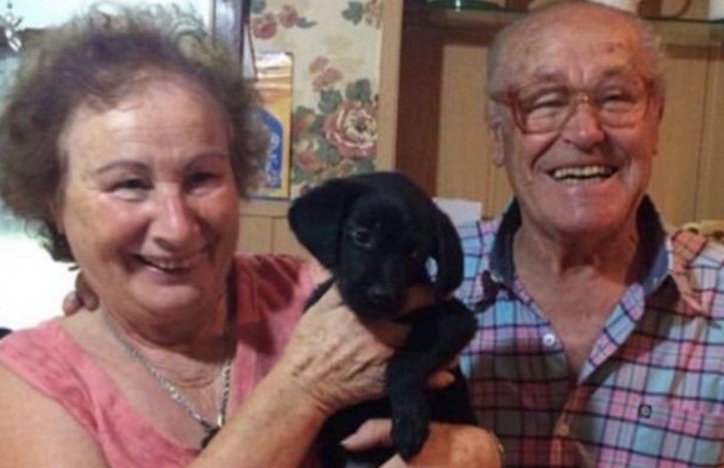 Sorprendieron a sus abuelos al regalarles una perra y su reacción conmovió a todos