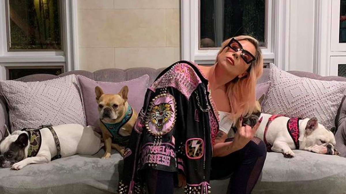 A 10 días de recuperar a sus perros