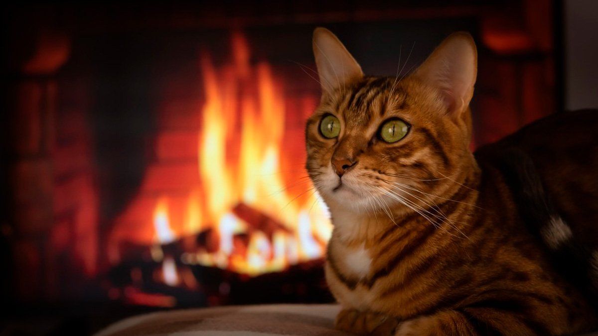 La advertencia se volvió una noticia viral en todo el mundo por su curiosidad.