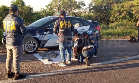 Policías de la Federal en pleno cotejo de los cogollos encontrados en el vehículo. Policías de la Federal en pleno cotejo de los cogollos encontrados en el vehículo.