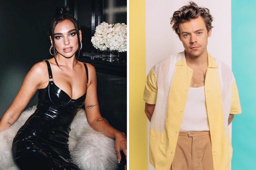 Dua Lipa y Harry Styles se conocieron antes de que ella se haga famosa.