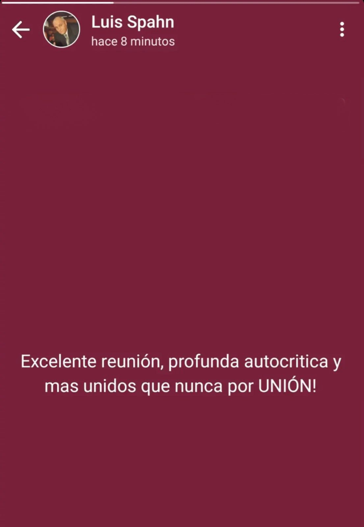 El mensaje de Luis Spahn a través de su estado de WhastApp. El mensaje de Luis Spahn a través de su estado de WhastApp.