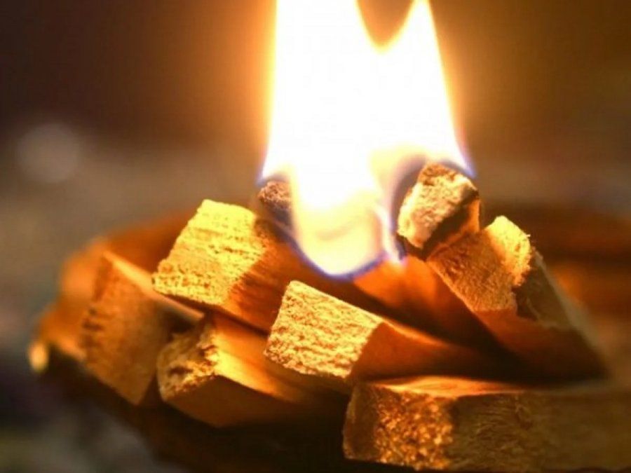 La madera de palo santo es una gran aliada para la limpieza energética de los hogares.