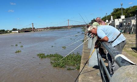 Los pescadores debieron extremar los cuidados por el calor, alternando la competencia con períodos de hidratación obligatoria bajo las carpas de asistencia. Los pescadores debieron extremar los cuidados por el calor, alternando la competencia con períodos de hidratación obligatoria bajo las carpas de asistencia.