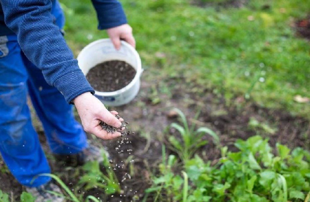 Le ofrecen una mayor carga de nutrientes al suelo