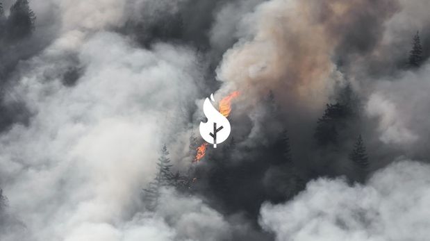 Argentinos crearon una app que detecta incendios antes que la NASA: cómo funciona