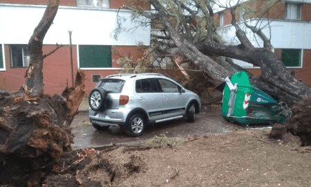 La fuerte tormenta de viento, lluvia y granizo que se azotó a la ciudad de Rosario este viernes por la tarde dejó importantes daños. La fuerte tormenta de viento, lluvia y granizo que se azotó a la ciudad de Rosario este viernes por la tarde dejó importantes daños.