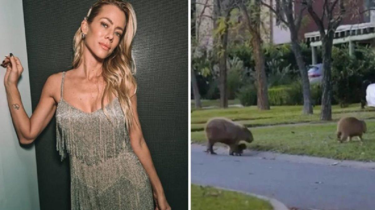 Nicole Neumann salió a defender a los carpinchos de Nordelta: Los invasores somos nosotros