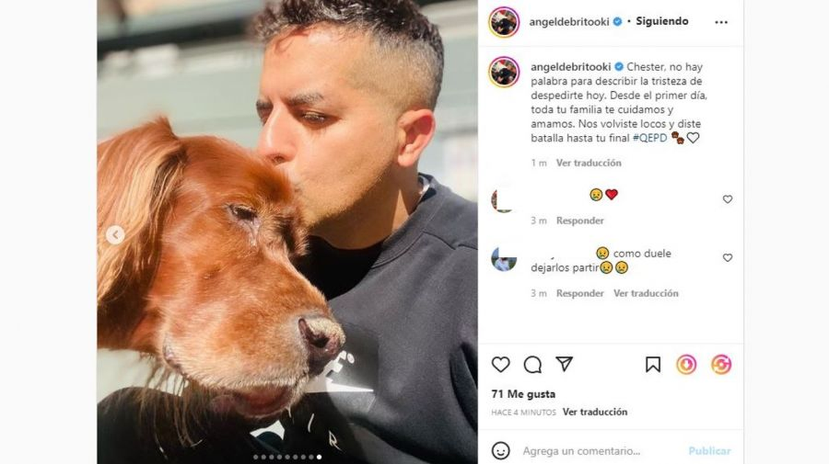 Ángel de Brito atraviesa un duro momento tras la muerte de su gran compañero Chester.