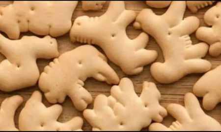 Una ONG vegana quiere prohibir las galletitas con formas de animales. Una ONG vegana quiere prohibir las galletitas con formas de animales.