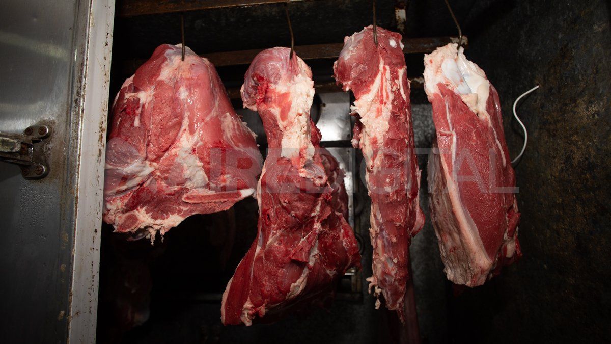 A través de una Resolución Conjunta de los Ministerios de Desarrollo Productivo y de Agricultura, Ganadería y Pesca, el Poder Ejecutivo prorrogó las trabas a la exportación de carne.