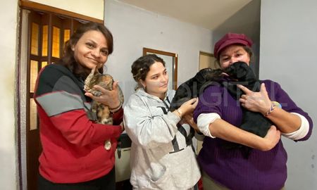 Equipo al rescate, una ONG que dedica su vida a salvar patitas, de perros y gatitos en la ciudad de Santa Fe. Equipo al rescate, una ONG que dedica su vida a salvar patitas, de perros y gatitos en la ciudad de Santa Fe.