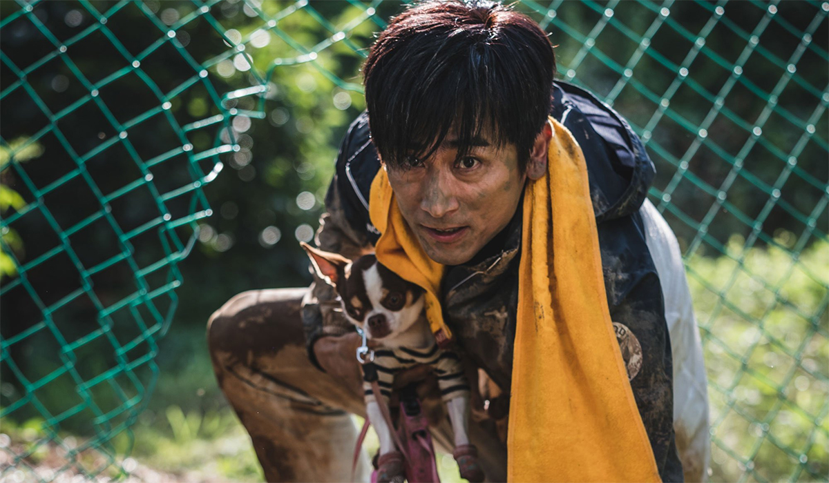 "¿Qué fue del Sr. Cha?", la película coreana que está en Netflix. "¿Qué fue del Sr. Cha?", la película coreana que está en Netflix.