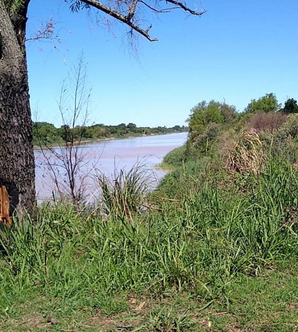 Los delincuentes salieron desde unos pastizales y sorprendieron a las víctimas. 