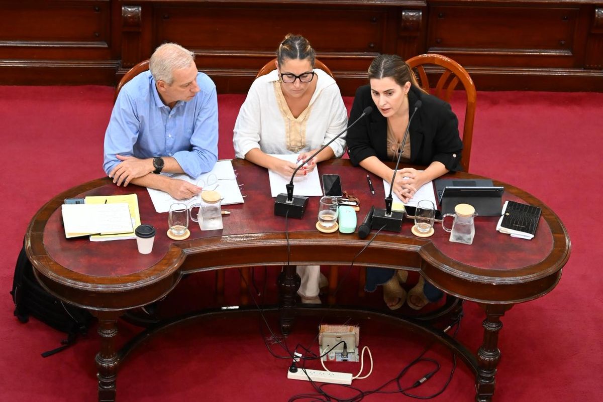 En la última sesión de la Cámara de Diputados de Santa Fe