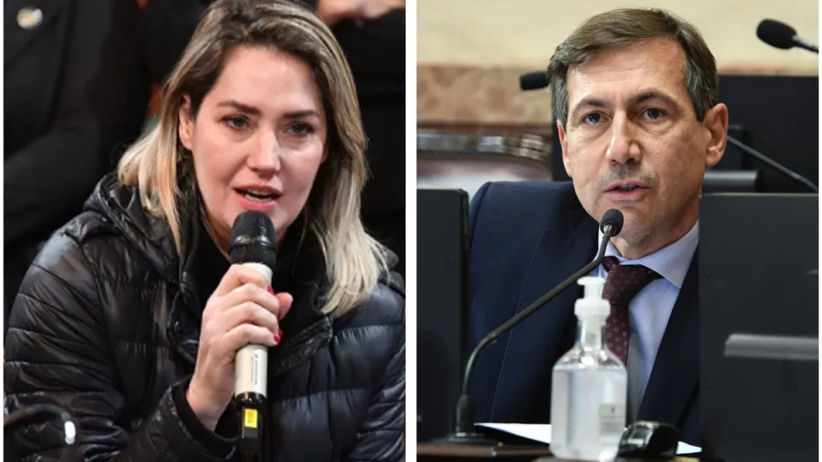 Carolina Losada y Luis Naidenoff están en pareja.