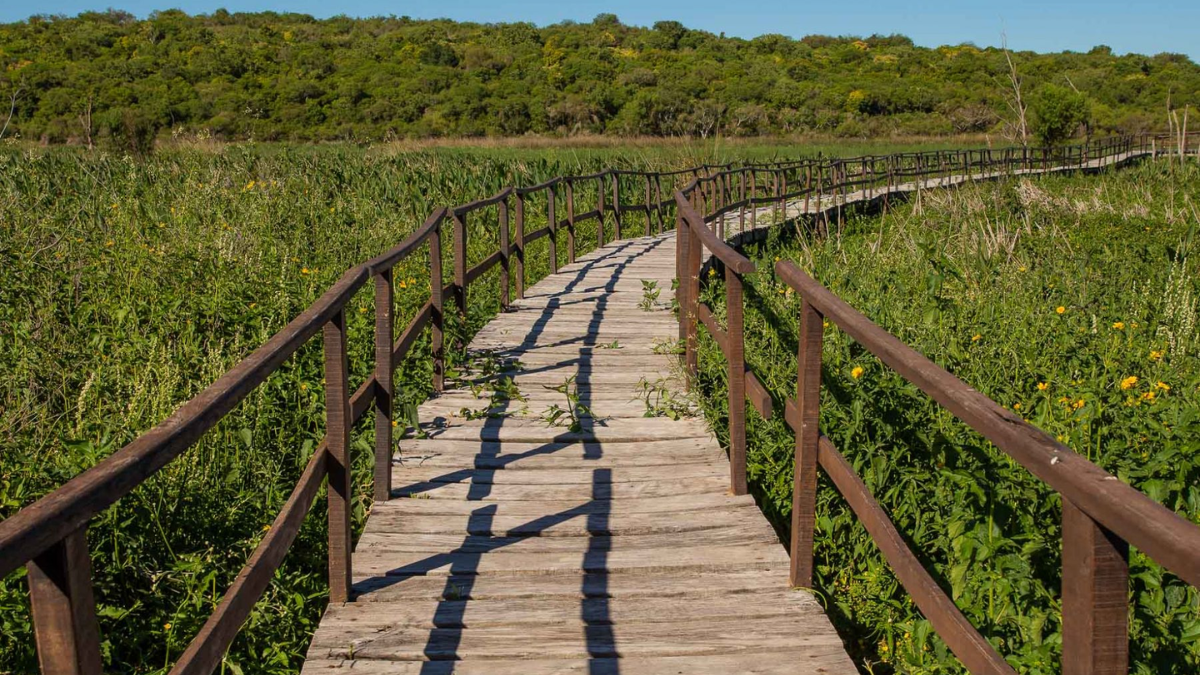 Escapada al maravilloso Parque Nacional Pre-Delta del Paran&aacute; en Entre R&iacute;os.