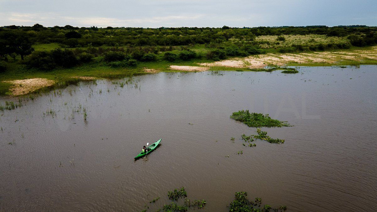 Explorar Jaaukanigás en kayak es ideal para observar fauna e ingresar a los arroyos que están cubiertos por las ramas de los árboles, como en un túnel verde. 