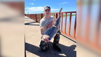 Un pescador logró sacar un surubí de 7 kilos desde el Puente Carretero sobre el río Salado.&nbsp;