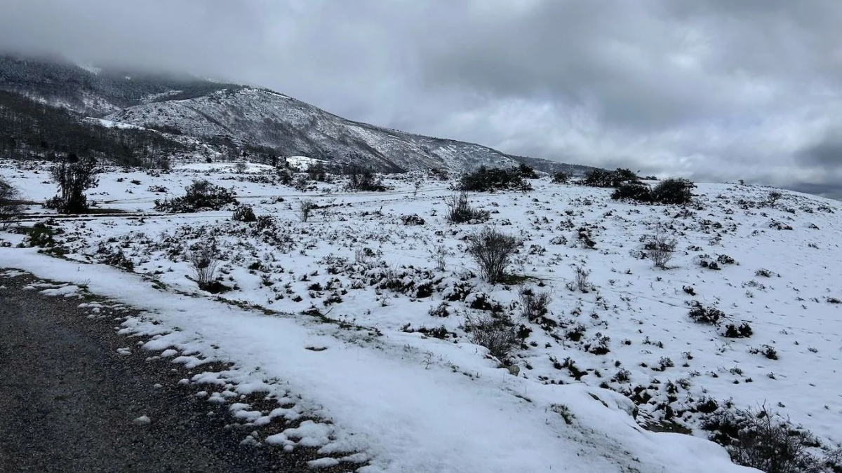 En San Luis, las bajas temperaturas y condiciones climáticas adversas en San Luis generaron que las clases del turno mañana fueran suspendidas en todos los establecimientos educativos, tanto públicos como privados. En San Luis, las bajas temperaturas y condiciones climáticas adversas en San Luis generaron que las clases del turno mañana fueran suspendidas en todos los establecimientos educativos, tanto públicos como privados.
