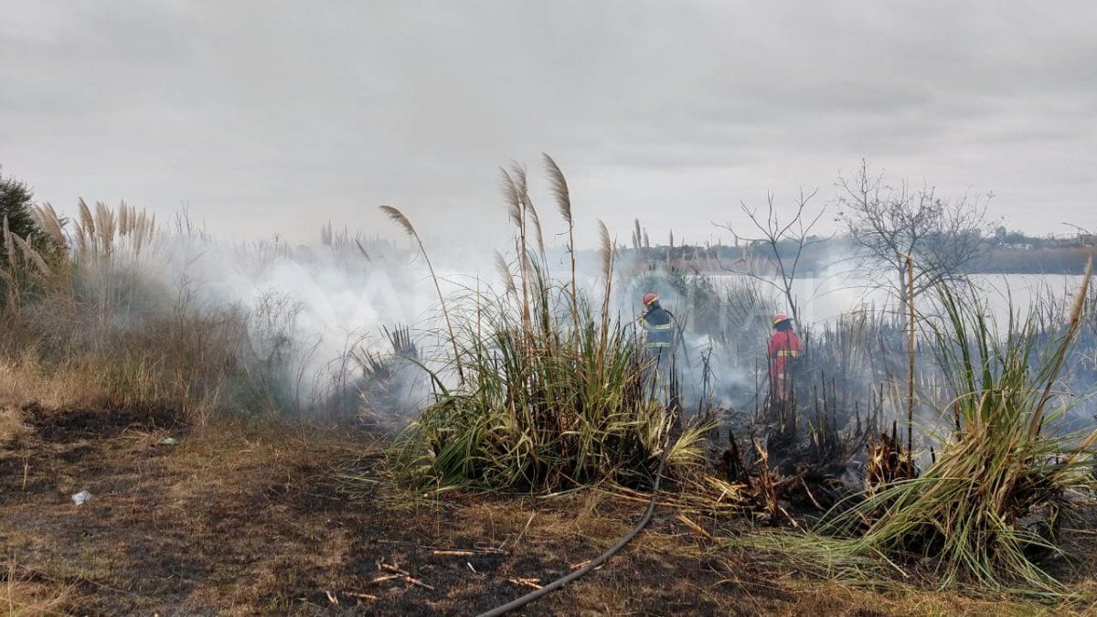 Hasta el momento se desconoce el origen de las llamas.&nbsp;