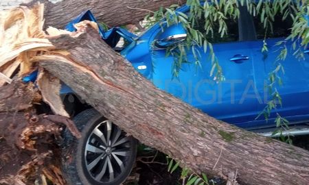 La camioneta terminó incrustada en un árbol frente al motel Atenas. La camioneta terminó incrustada en un árbol frente al motel Atenas.