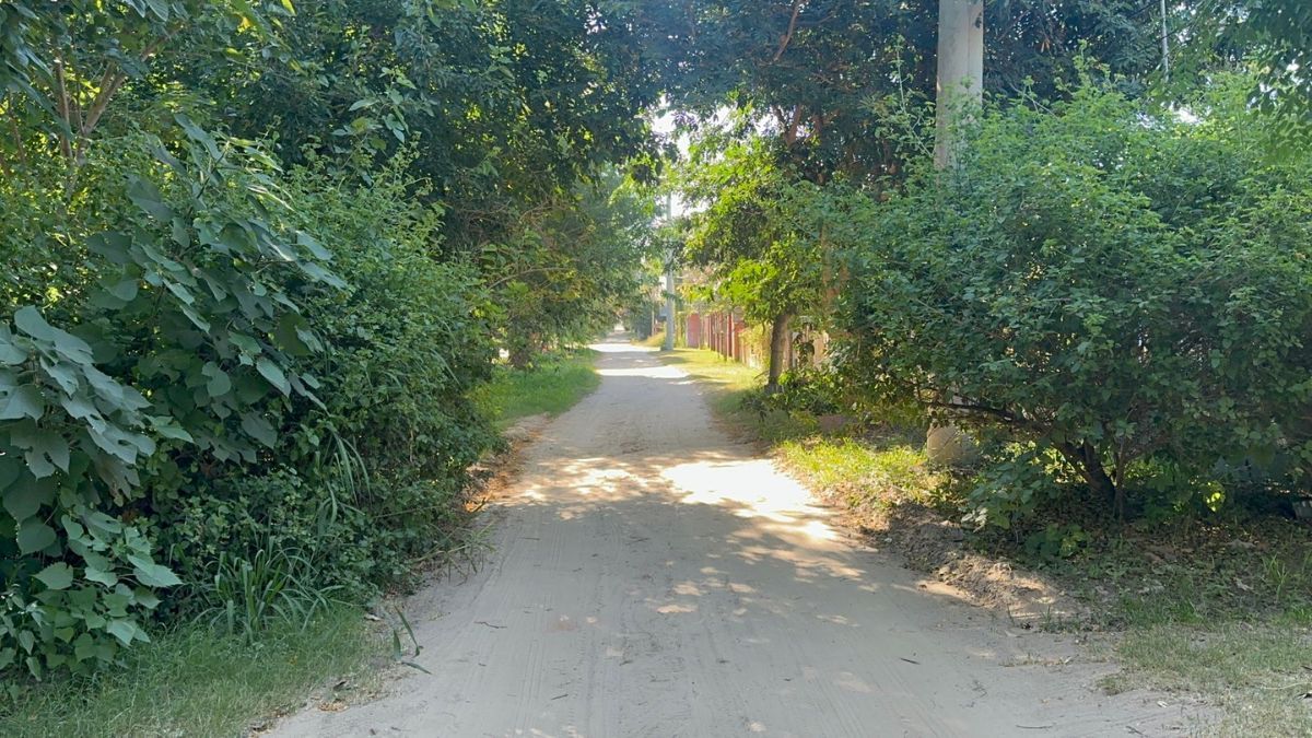 Los Ñandubay es una de las arterias principales de barrio Las Paltas.