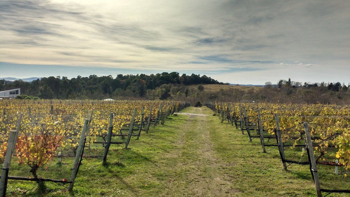 4 planes diferentes para disfrutar del fin de semana largo de Semana Santa