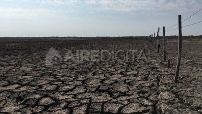 Casi el 40% de los suelos argentinos enfrenta problemas de degradaci&oacute;n por la p&eacute;rdida de masa boscosa y tambi&eacute;n por la erosi&oacute;n h&iacute;drica y e&oacute;lica. Tambi&eacute;n influye la agricultura.