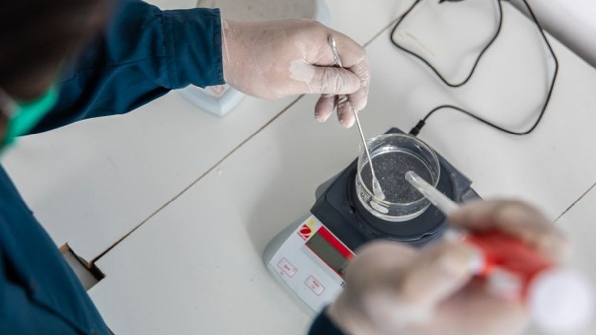 Cinco proyectos de investigadores santafesinos fueron seleccionados para aportar respuestas ante la pandemia