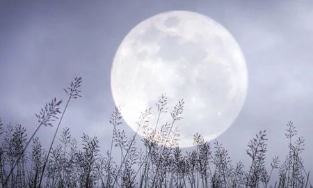 Luna de Nieve 2026: cómo verla desde Argentina. Luna de Nieve 2026: cómo verla desde Argentina.