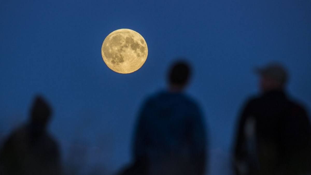 La Luna de Lobo alcanzará su punto máximo a las 19:27 en Argentina. La Luna de Lobo alcanzará su punto máximo a las 19:27 en Argentina.