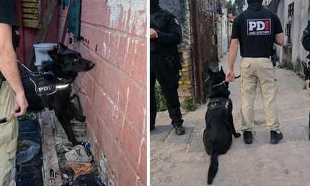 El perro K9 Kenzo fue clave en el operativo al detectar droga escondida en un hueco de una pared del pasillo. El perro K9 Kenzo fue clave en el operativo al detectar droga escondida en un hueco de una pared del pasillo.