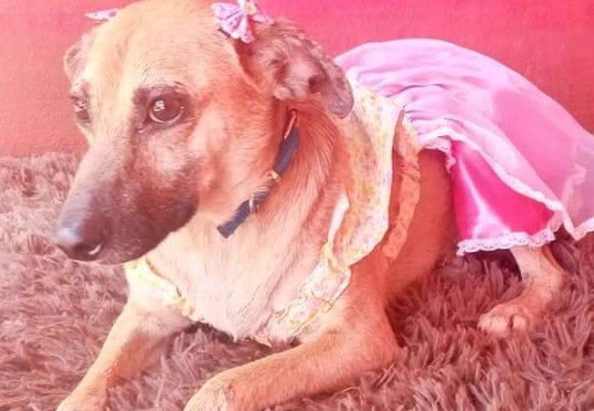 Cati busca una familia.