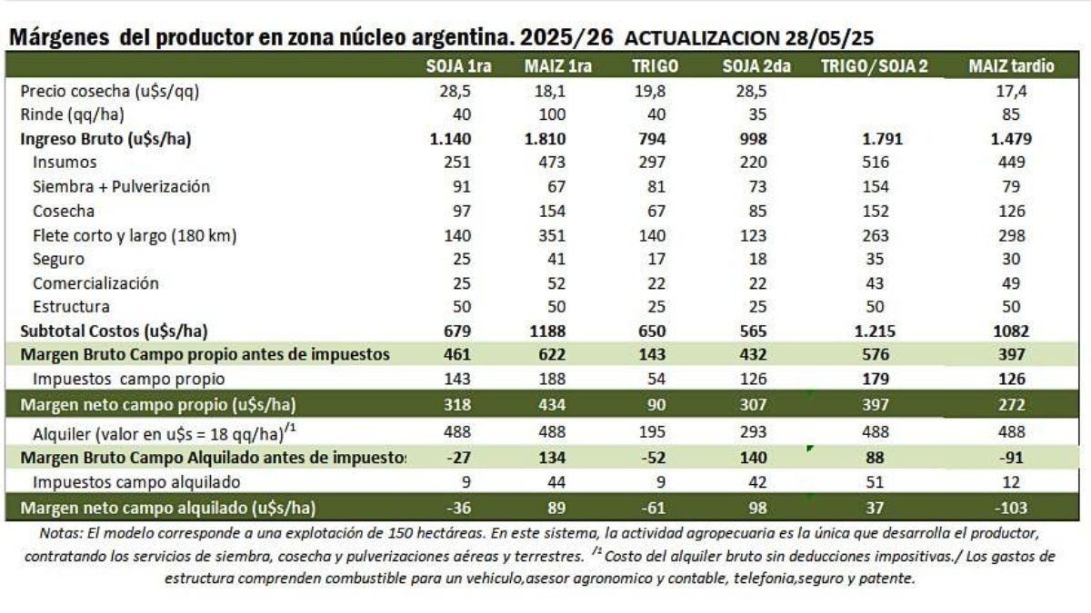 En campo alquilado se proyectan pérdidas de hasta 61 dólares por hectárea, con rindes estimados en 40 quintales 