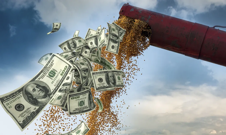 El dólar-soja implicó una pérdida de U$S 2.979 millones que el gobierno canceló con letras a diez años. El dólar-soja implicó una pérdida de U$S 2.979 millones que el gobierno canceló con letras a diez años.