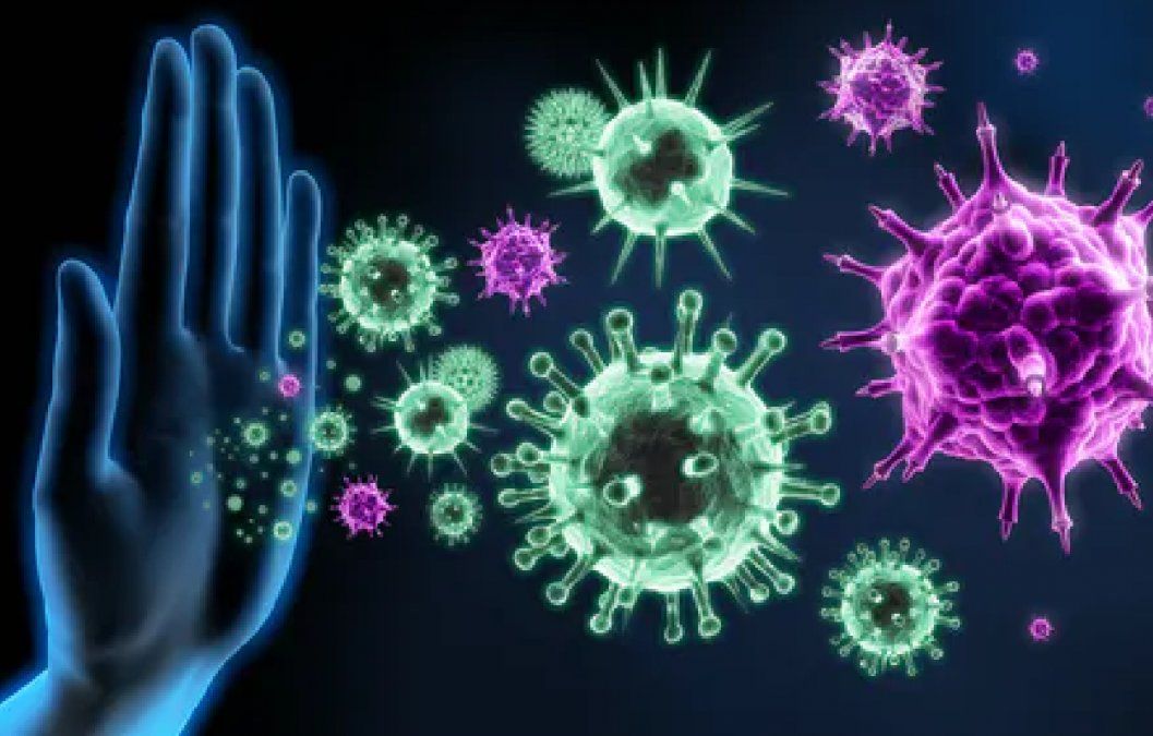 3 alimentos para reforzar nuestro sistema inmune