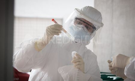 como consultar de forma online el resultado de los hisopados por coronavirus como consultar de forma online el resultado de los hisopados por coronavirus