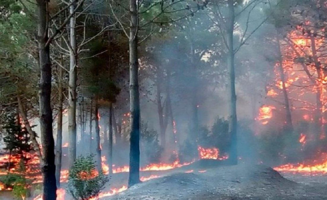 Los incendios en los bosques de Cariló lograron ser controlados aproximadamente a las 14 horas. 