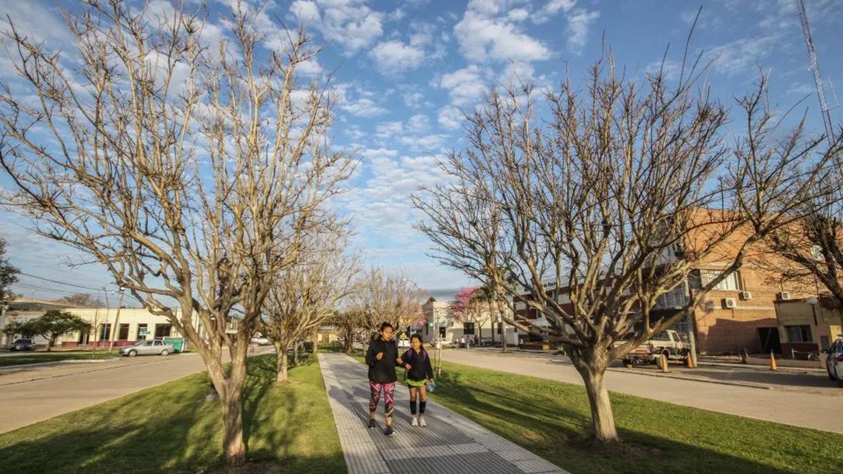 Hay tasas municipales que tienen valores que oscilan entre los $4.000 y $7.000 mensuales y que obligan al Estado municipal a ajustar por inflaci&oacute;n para garantizar los servicios durante 2026.