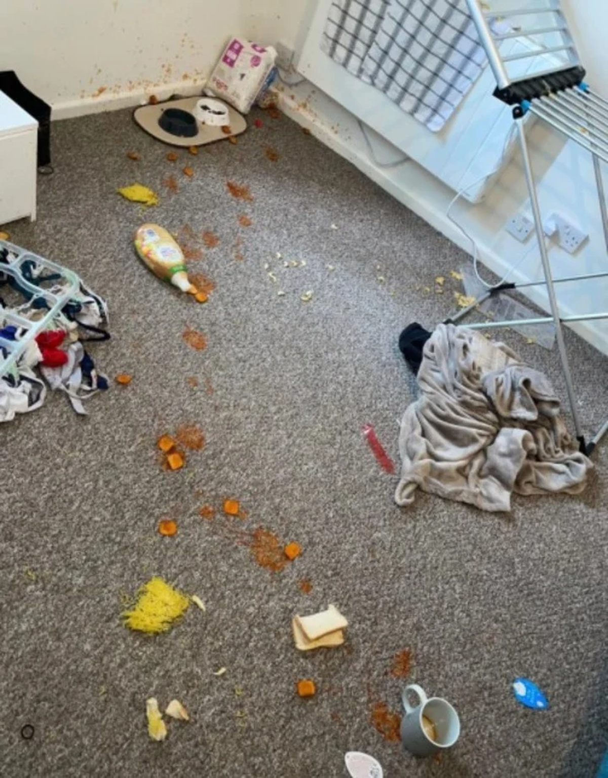 Cuando Alisha vio el estado de la casa se puso a llorar. 