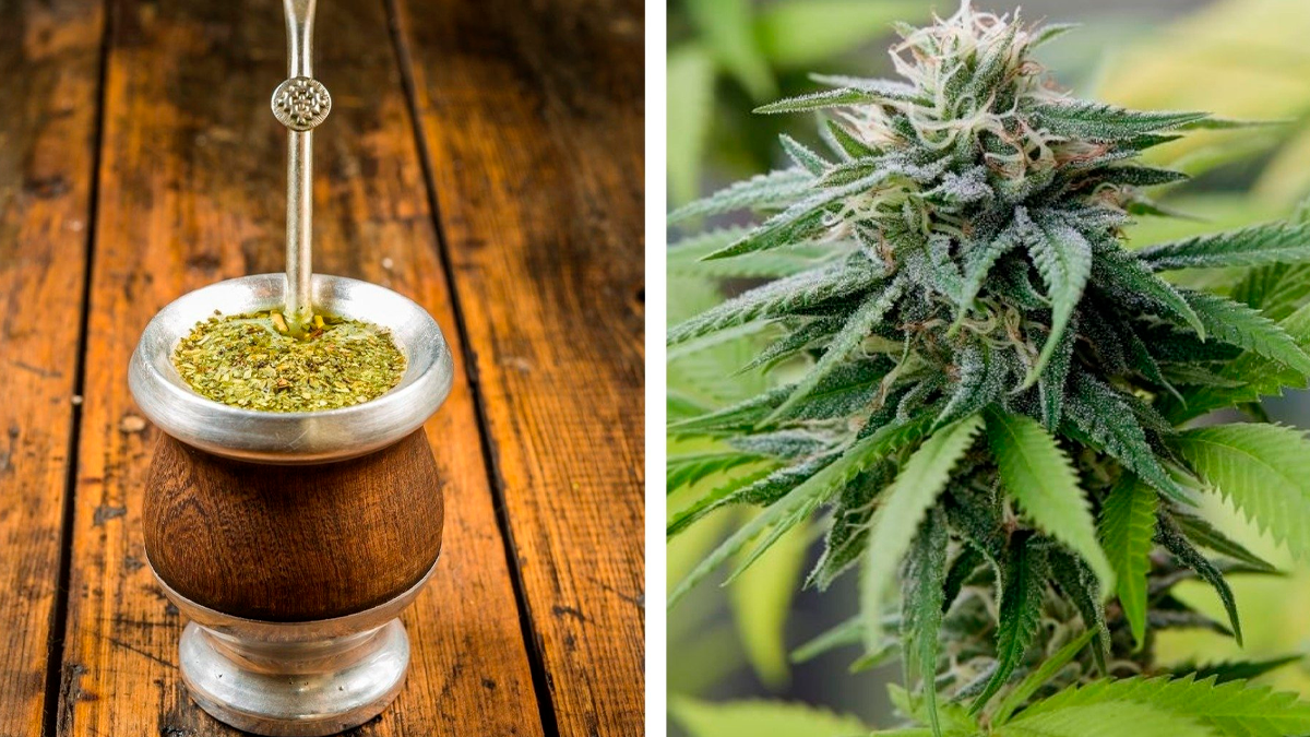 El insólito episodio ocurrió en la madrugada del lunes