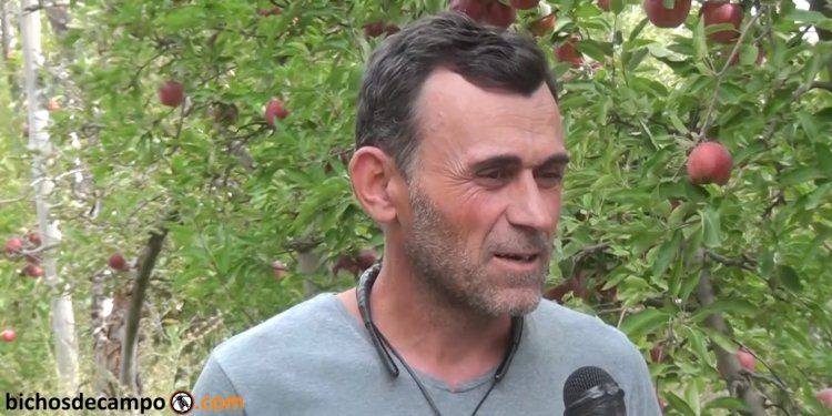 Pronostican otro frutazo en Plaza de Mayo